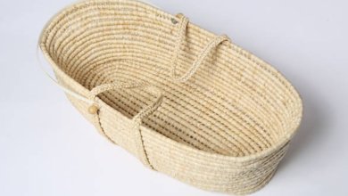 Looking Into the Everlasting Charm of the Moses Basket for Today's Parents