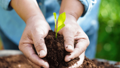 Building a Brighter Future One Step at a Time