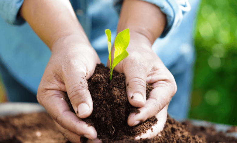 Building a Brighter Future One Step at a Time