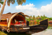 Explore the Best of Kerala: Cochin, Munnar, and Alleppey Tour Guide