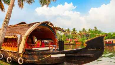 Explore the Best of Kerala: Cochin, Munnar, and Alleppey Tour Guide