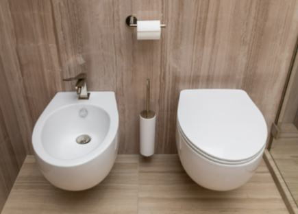 The Role of Bidets in Modern Bathrooms