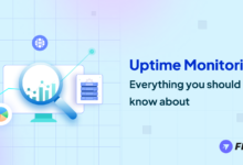 Choosing the Right Uptime Monitor: What to Look For