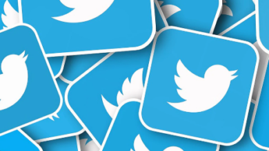 Download Twitter Videos for Free with 555twitter.com