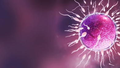 Emotional and Physical Preparation Tips Before IVF Treatment