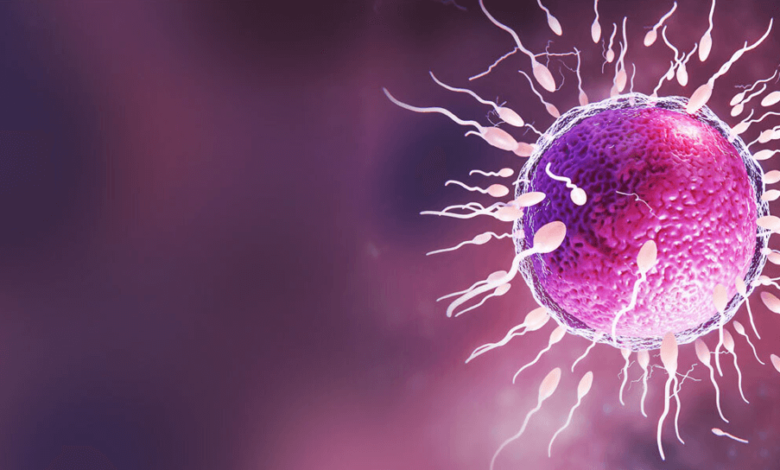 Emotional and Physical Preparation Tips Before IVF Treatment