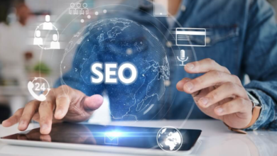 Leading SEO Professional in India