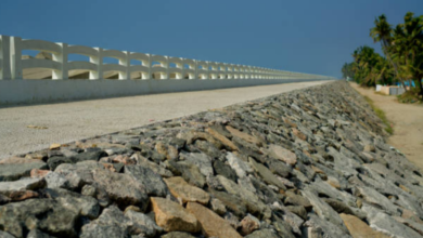 Why Hiring Professionals for Marine Dock Construction Is Worth It