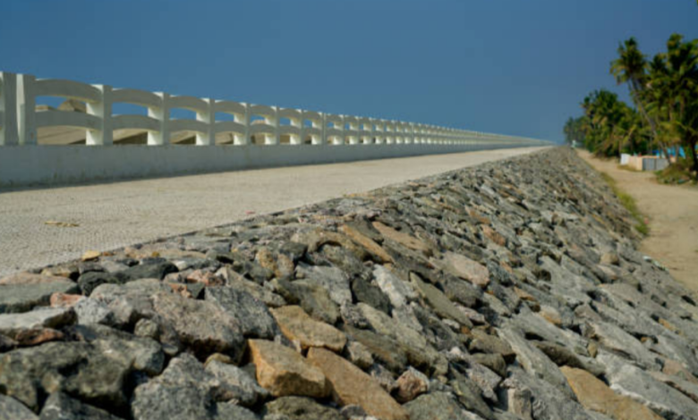 Why Hiring Professionals for Marine Dock Construction Is Worth It