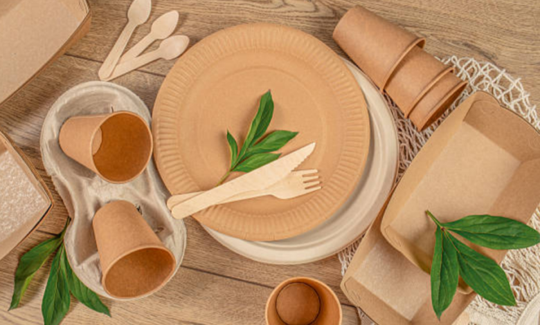 Packaging Street Food with Style: Customization Trends for Modern Brands