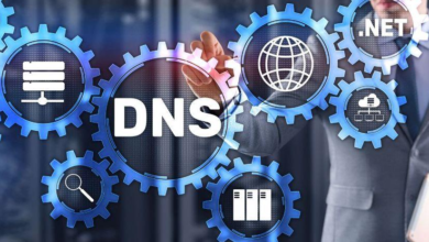 Cloudflare vs. Google DNS to Fix DNS Probe Errors