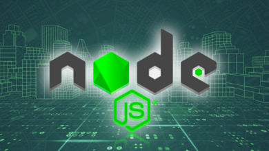What’s Inside a Node.js VPS Environment and Why Developers Love It?