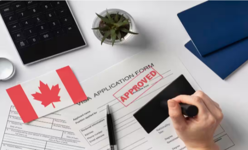 Certified Translation of Brazilian Documents for Visas and Immigration to Canada