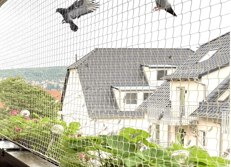 Cost-Effective Pigeon Netting for Balconies - Smartmockups