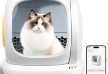Discover the Best Smart Litter Boxes for Cat Owners