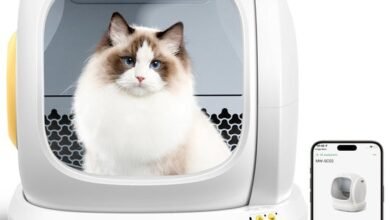 Discover the Best Smart Litter Boxes for Cat Owners