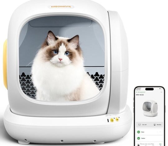 Discover the Best Smart Litter Boxes for Cat Owners