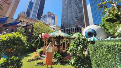 Top 3 Fantastic Travel Attractions in Dallas