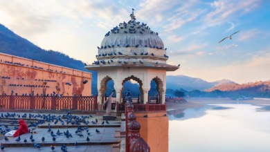 Best Family Tour Packages in India: Complete Guide for 2025