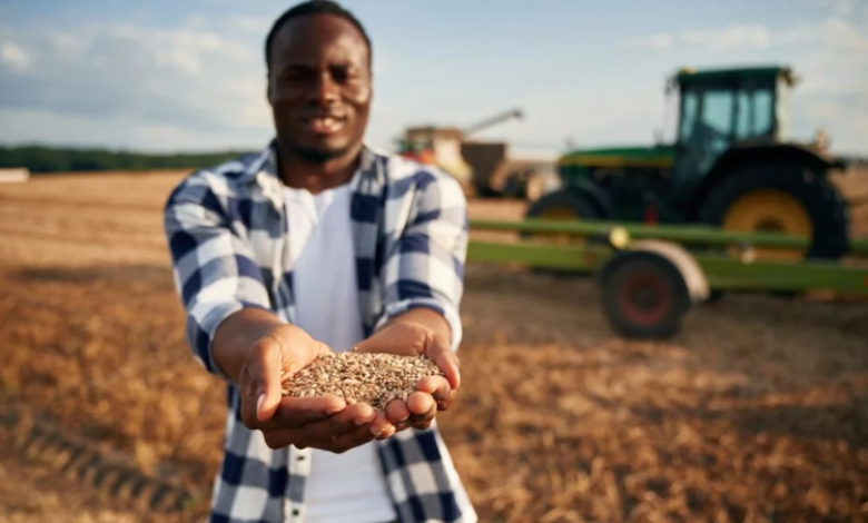 Enhancing Crop Yield Through Effective Fertilizer Strategies