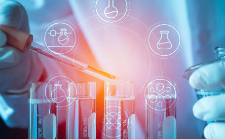 In Vivo DMPK Parameters: Clearance, Bioavailability, and Half-Life