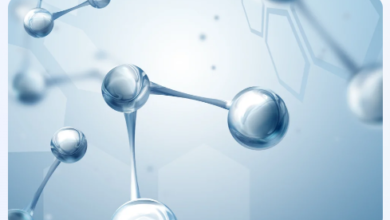 Which Methods Best Measure Plasma Protein Binding?