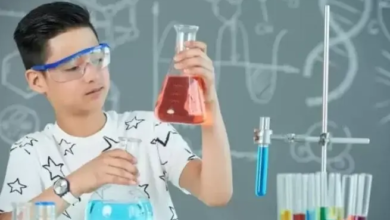 Why Science Tuition for Primary 4 Makes Learning Fun and Effective