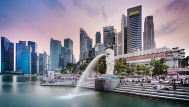 Pathway to Lasting Belonging in Singapore