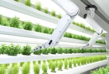 AI and Indoor Farming: The Future of Vertical Hydroponics