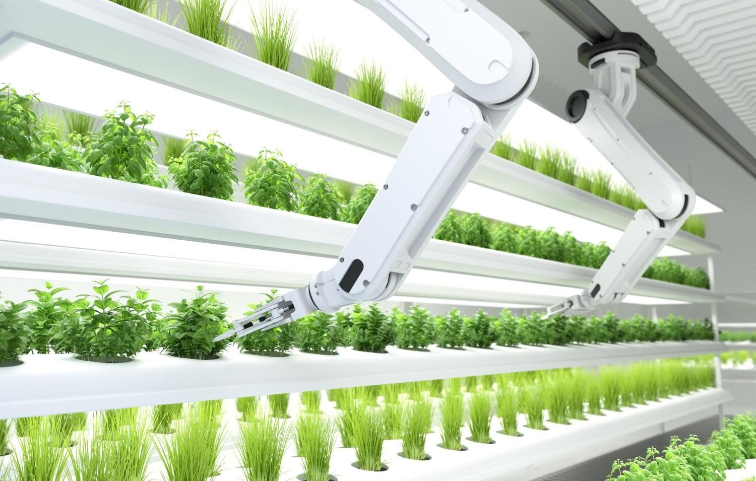 AI and Indoor Farming: The Future of Vertical Hydroponics