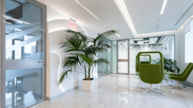 Digital Health Startups