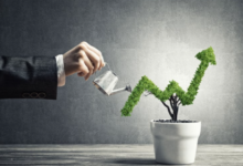 Boosting Business Growth Through Effective Visual Marketing