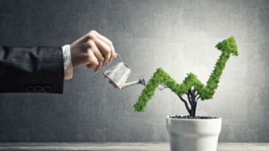 Boosting Business Growth Through Effective Visual Marketing