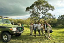 Kenya Safari Tours from UK: The Ultimate African Wildlife Adventure