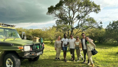 Kenya Safari Tours from UK: The Ultimate African Wildlife Adventure