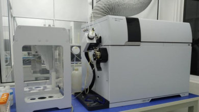 Which Pollutants Should We Worry About Most in Urban Rivers?