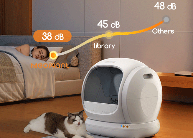 How to Use Rechargeable Pet Clippers in Small Apartments