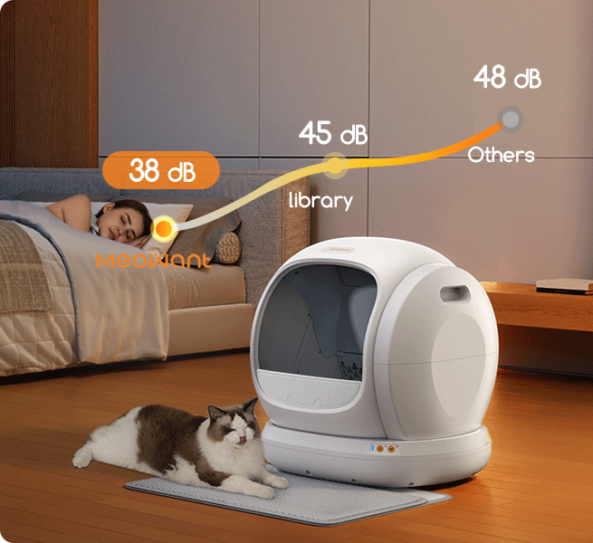 How to Use Rechargeable Pet Clippers in Small Apartments