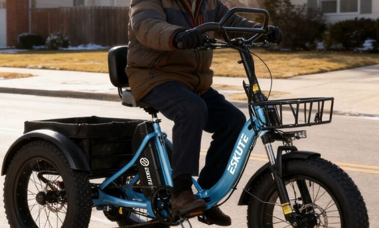 The Growing Trend of Electric Tricycles for Adult Commuters