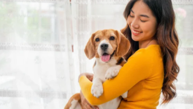 Pets in Mental Health Recovery: What You Should Know