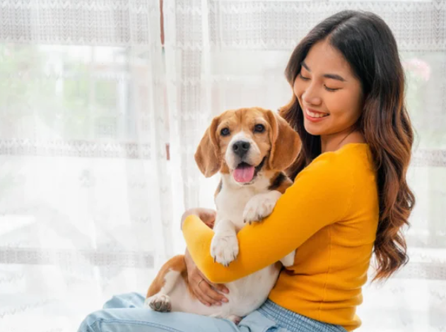 Pets in Mental Health Recovery: What You Should Know