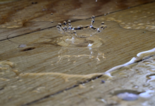 When Does a Property Need a Professional Water Damage Restoration Service?