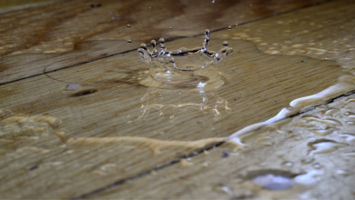 When Does a Property Need a Professional Water Damage Restoration Service?
