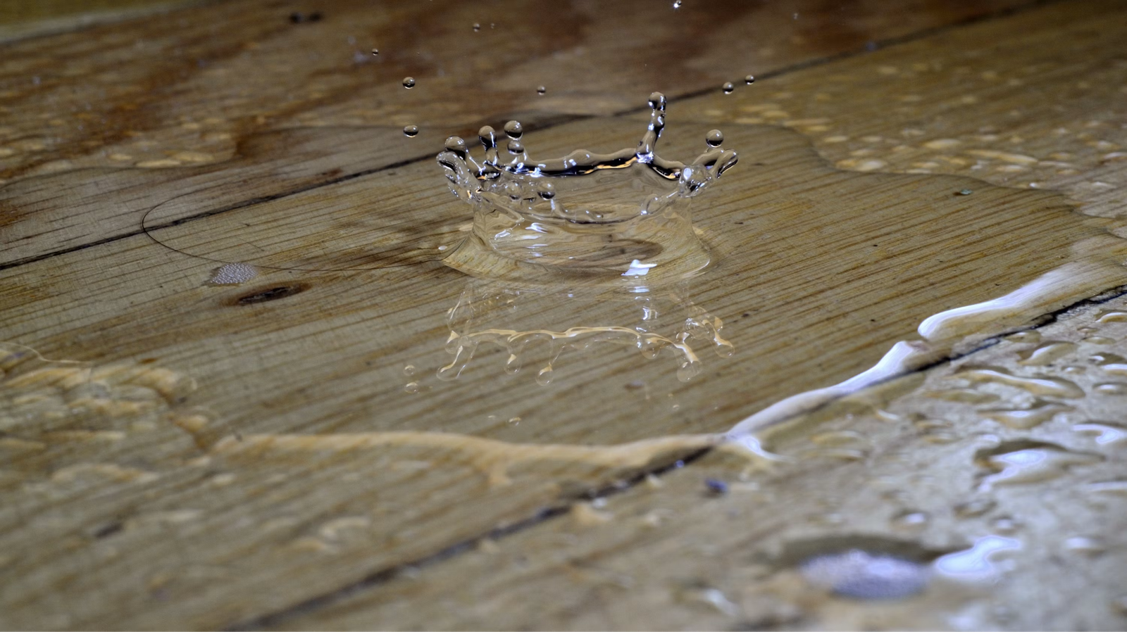 When Does a Property Need a Professional Water Damage Restoration Service?