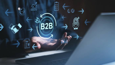 How Leading Companies Use B2B Data Enrichment to Improve Targeting