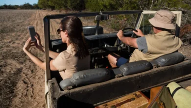 Kenya Safari Tours from UK: The Ultimate African Wildlife Adventure