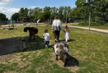 Family Days Out Made Better: Food, Farm Life and Things to Do