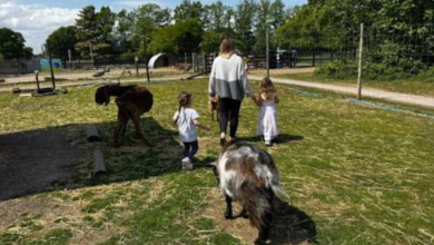 Family Days Out Made Better: Food, Farm Life and Things to Do