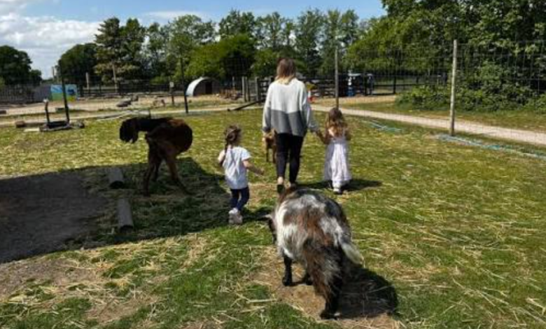 Family Days Out Made Better: Food, Farm Life and Things to Do