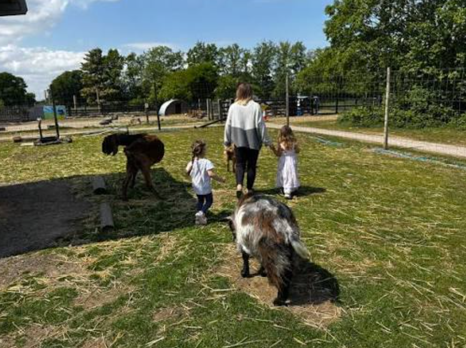 Family Days Out Made Better: Food, Farm Life and Things to Do